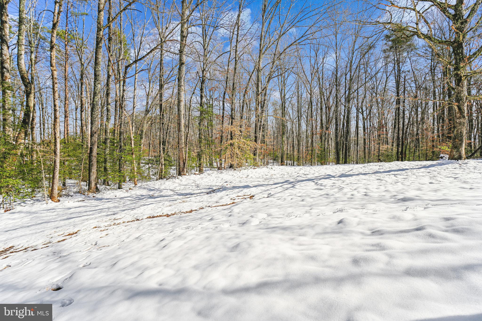 4194 Goldmine Road Goldvein, VA 22720 - Photo 8 of 38
