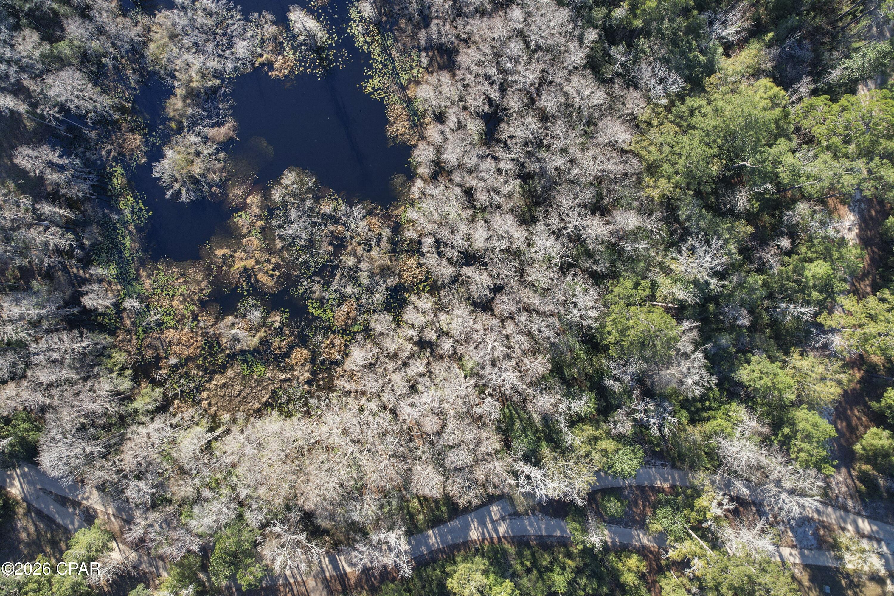 1 Cypress Vernon, FL 32462 - Photo 8 of 15