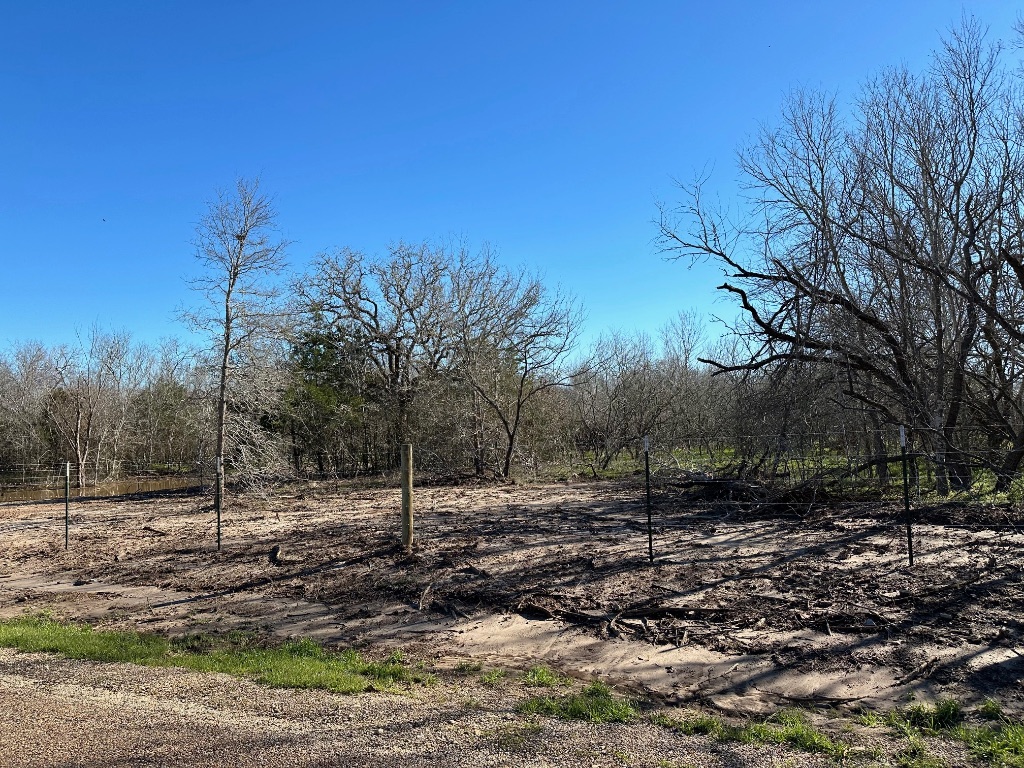 8307 Jeddo Road Waelder, TX 78959 - Photo 3 of 5 a view of a forest filled with trees