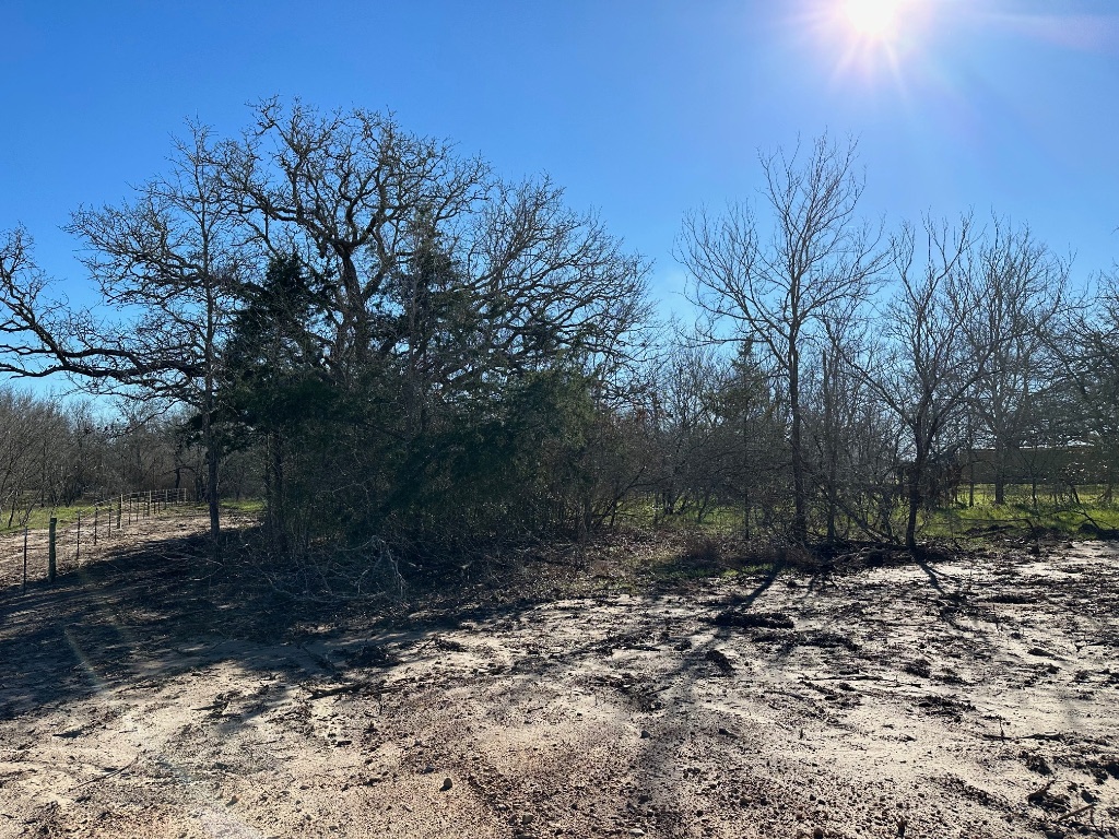 8307 Jeddo Road Waelder, TX 78959 - Photo 4 of 5 a view of backyard with green space