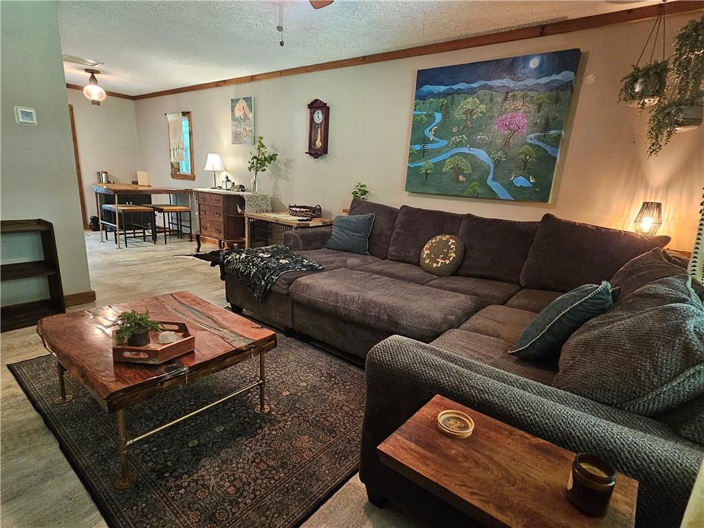 131 Chestatee Spgs Ridge Dahlonega, GA 30533 - Photo 27 of 51 a living room with furniture and wooden floor