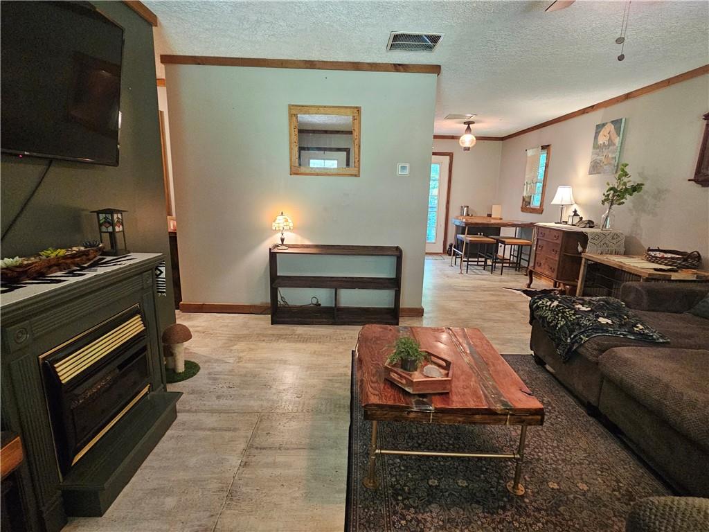 131 Chestatee Spgs Ridge Dahlonega, GA 30533 - Photo 28 of 51 a living room with furniture a flat screen tv and a fireplace