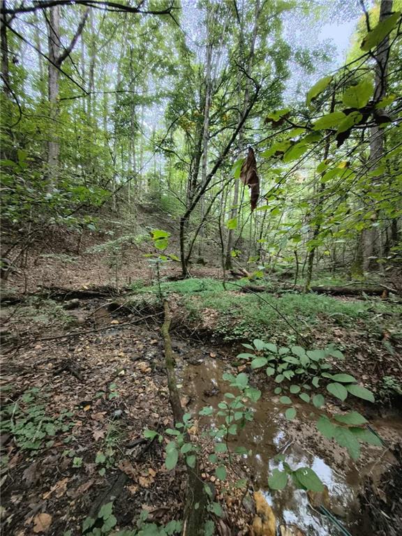 131 Chestatee Spgs Ridge Dahlonega, GA 30533 - Photo 47 of 51 a view of a yard with a tree