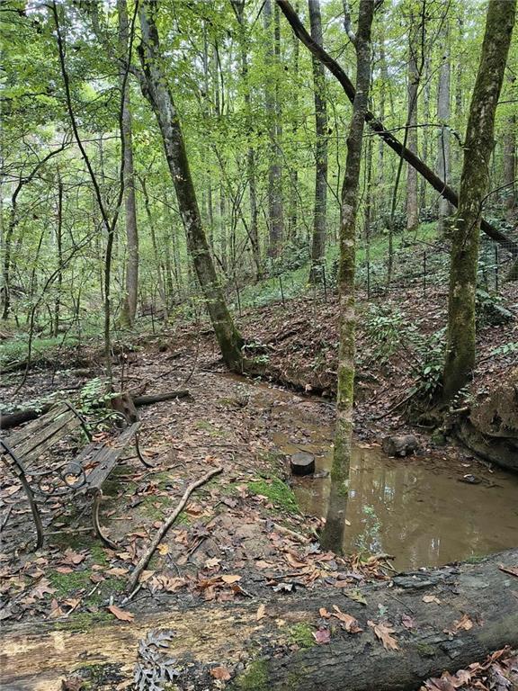 131 Chestatee Spgs Ridge Dahlonega, GA 30533 - Photo 50 of 51 a backyard of a house with lots of green space