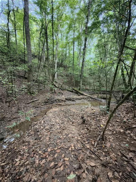 131 Chestatee Spgs Ridge Dahlonega, GA 30533 - Photo 51 of 51 a view of a forest with trees