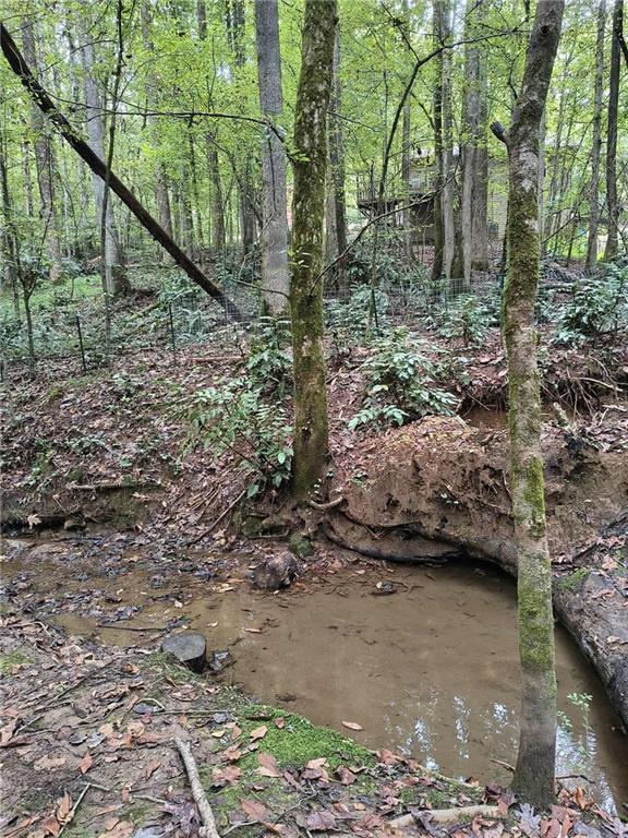 131 Chestatee Spgs Ridge Dahlonega, GA 30533 - Photo 9 of 51 a view of yard with green space