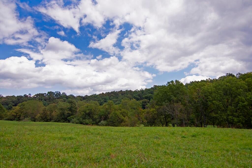 Seneca Trail Union Lindside, WV 24951 - Photo 30 of 50 Gallery Image 30