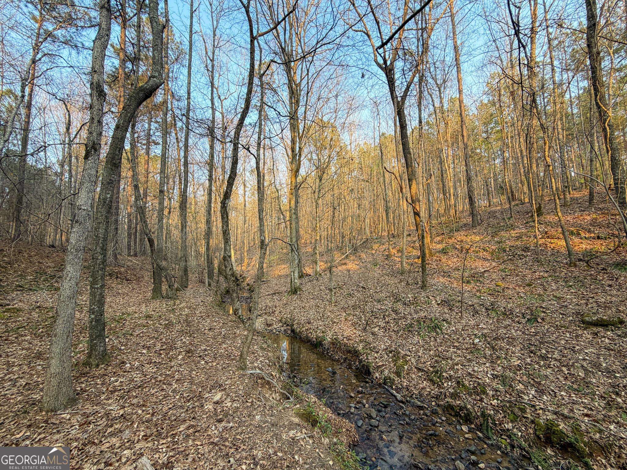 117 Acres On Mccosh Mill Road Franklin, GA 30217 - Photo 5 of 24