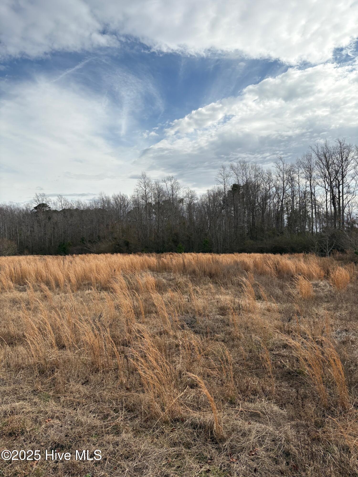 455 Dothan Road Tabor City, NC 28463 - Photo 11 of 21 14