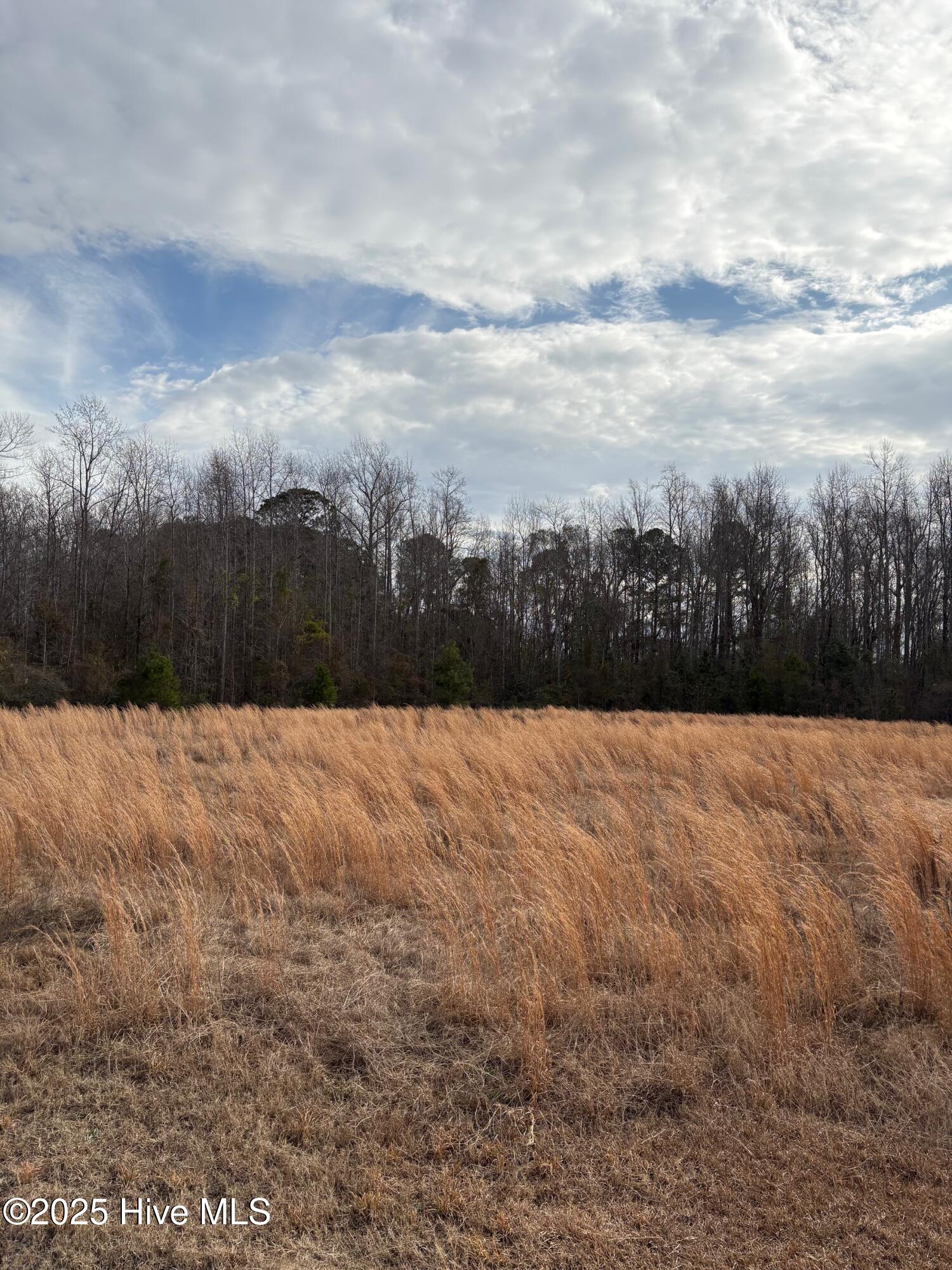 455 Dothan Road Tabor City, NC 28463 - Photo 12 of 21 15