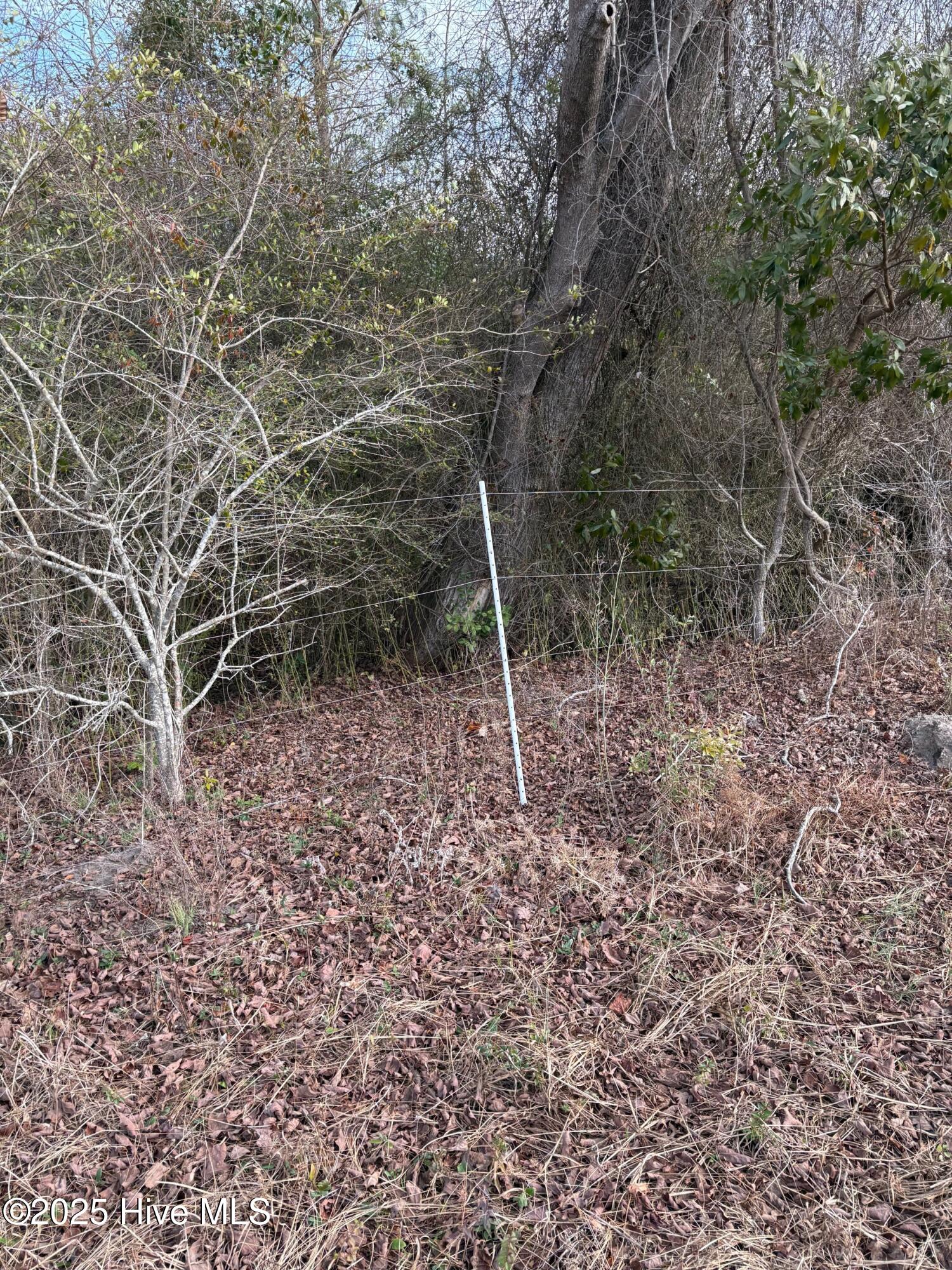 455 Dothan Road Tabor City, NC 28463 - Photo 13 of 21 17