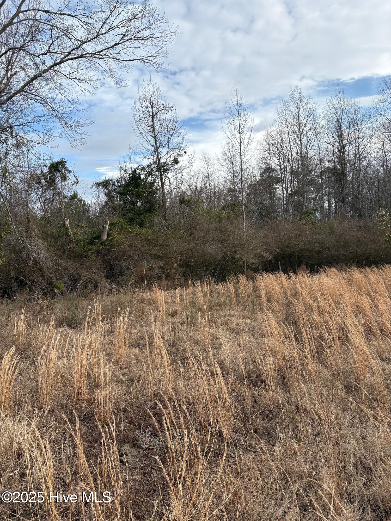 455 Dothan Road Tabor City, NC 28463 - Photo 15 of 21 19