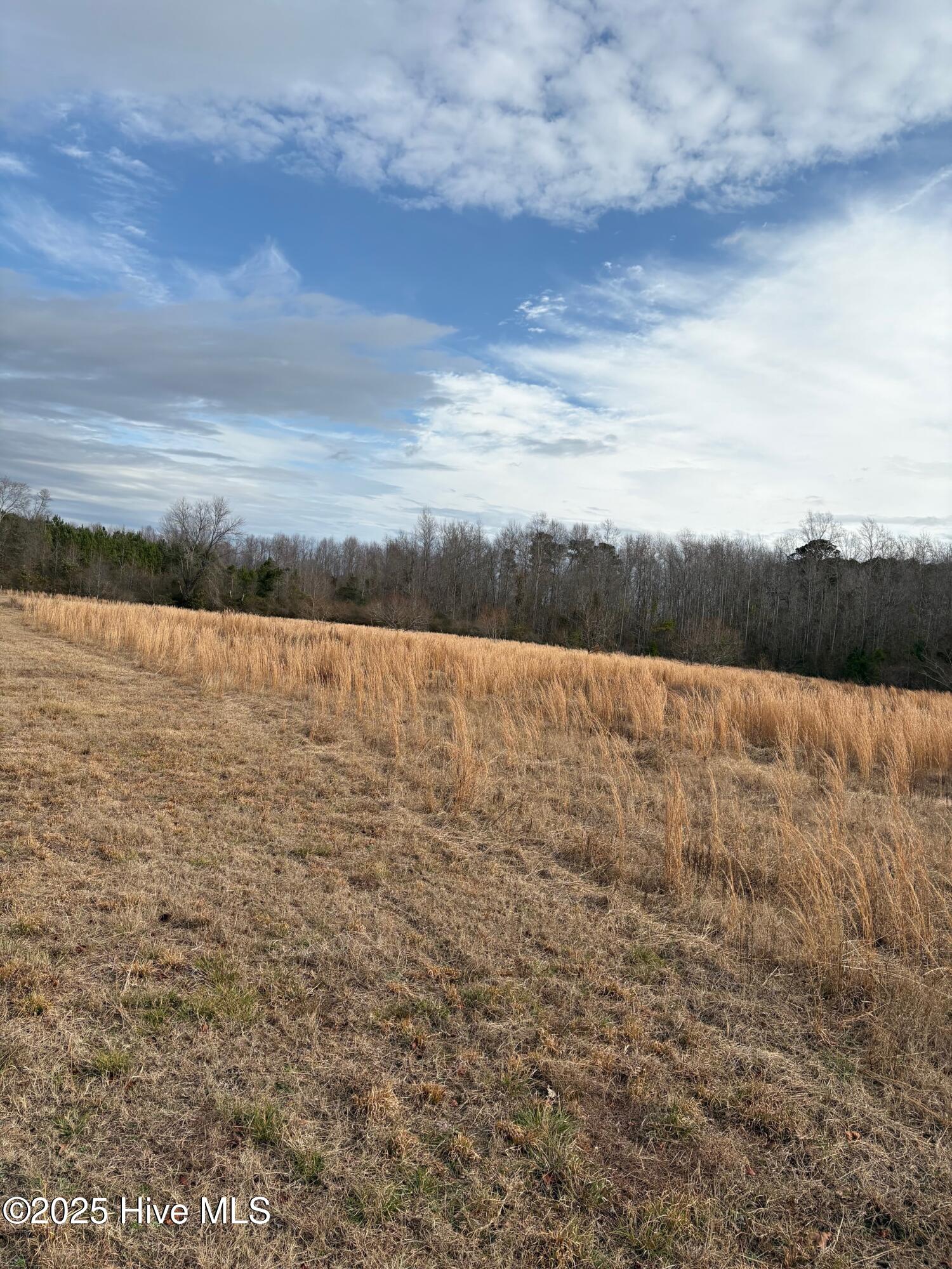 455 Dothan Road Tabor City, NC 28463 - Photo 19 of 21 23