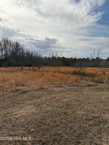 $619,900 | 455 Dothan Road, Tabor City, NC 28463