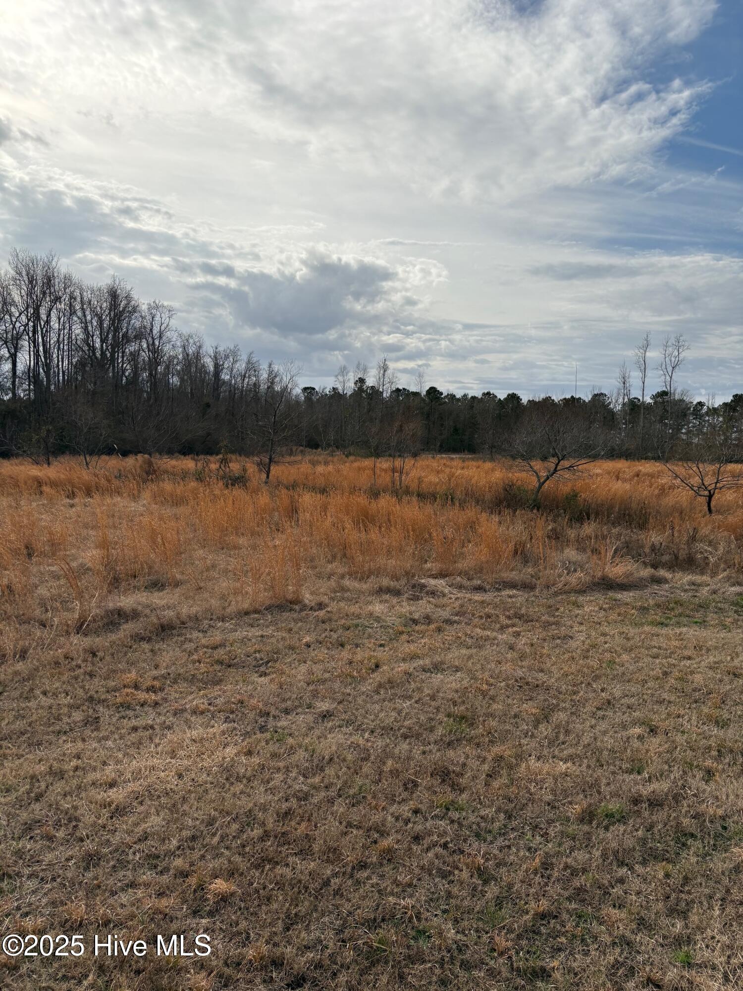 455 Dothan Road Tabor City, NC 28463 - Photo 3 of 21 3