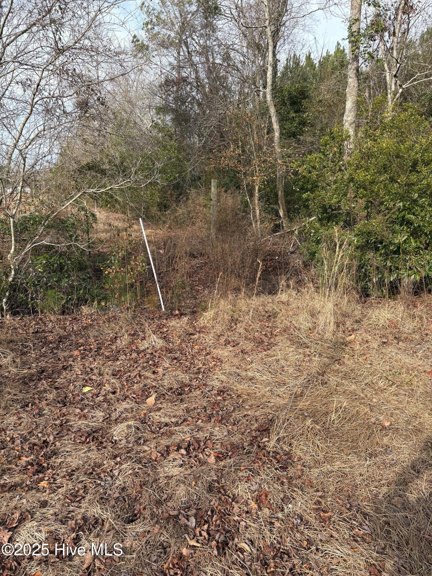 455 Dothan Road Tabor City, NC 28463 - Photo 4 of 21 5