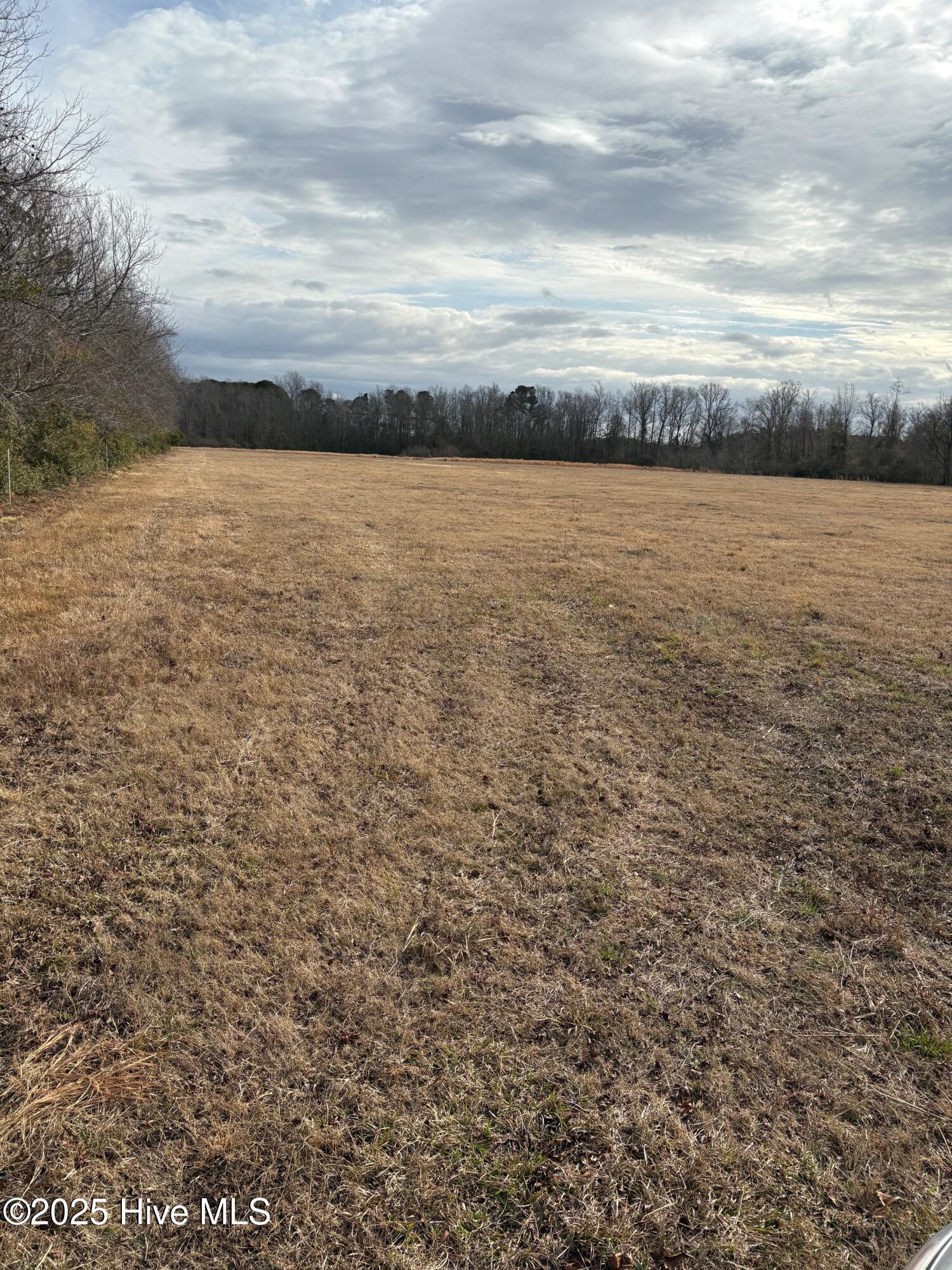 455 Dothan Road Tabor City, NC 28463 - Photo 7 of 21 9