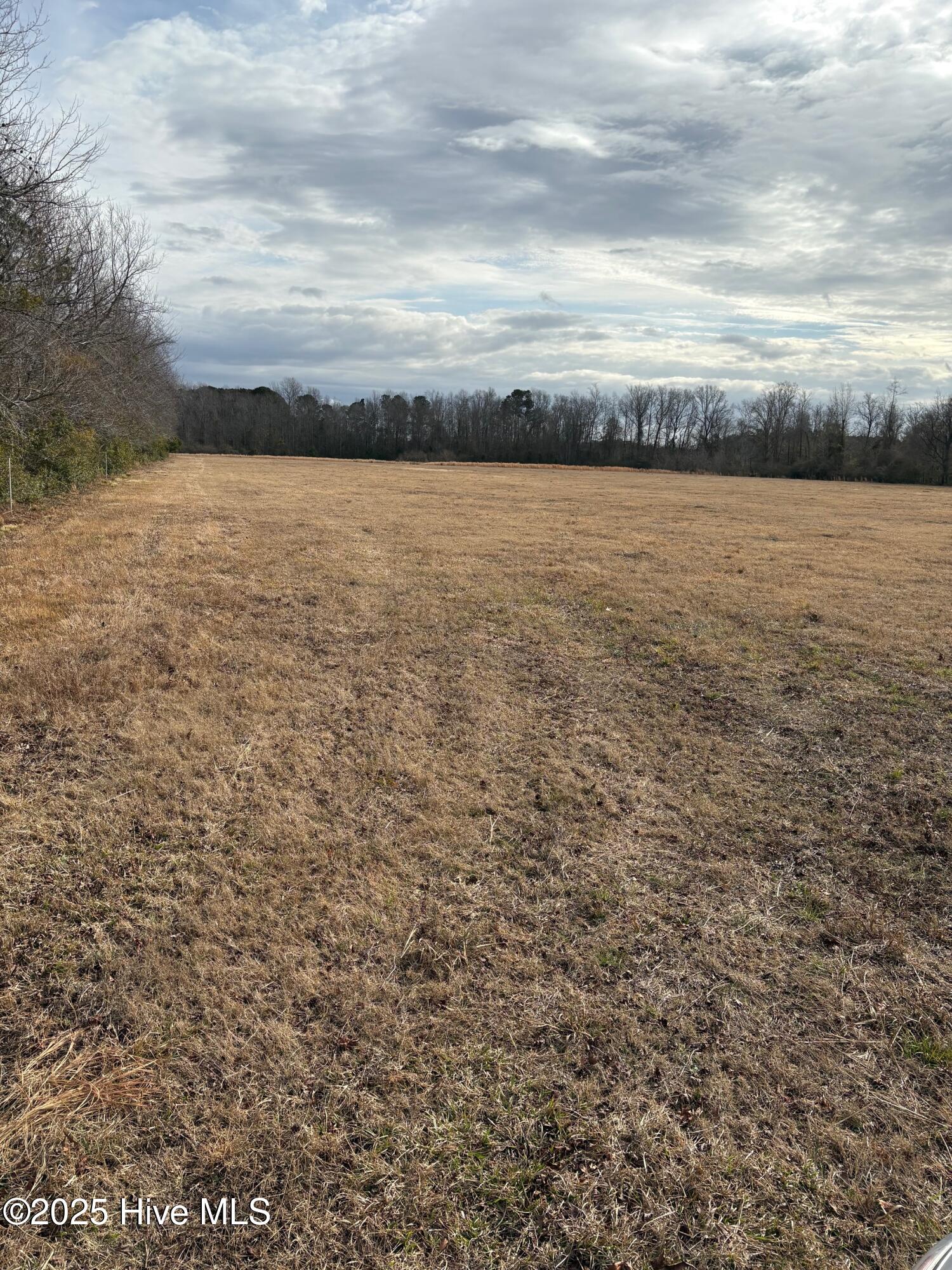 455 Dothan Road Tabor City, NC 28463 - Photo 8 of 21 10