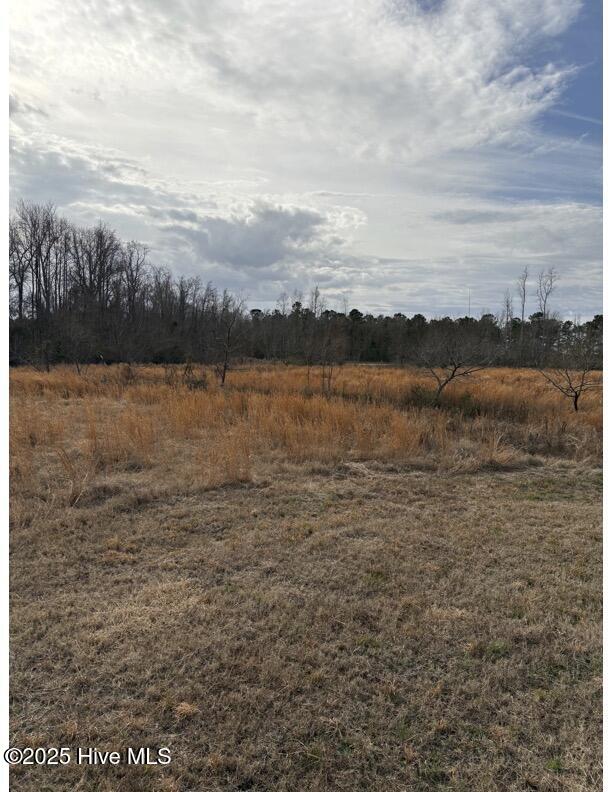 455 Dothan Road Tabor City, NC 28463 - Photo 9 of 21 11