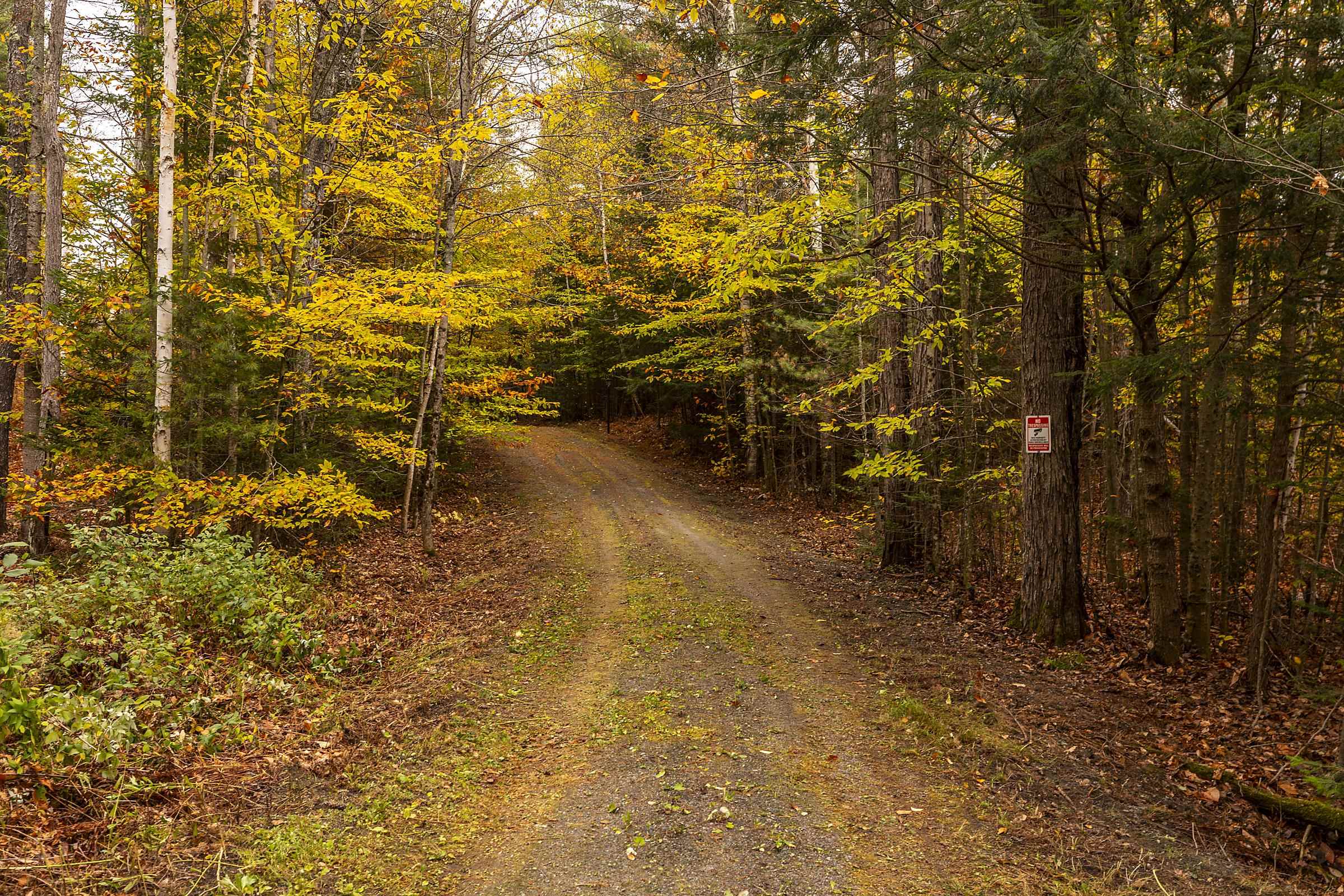 260 Mansfield Lane Londonderry, VT 05148 - Photo 2 of 40