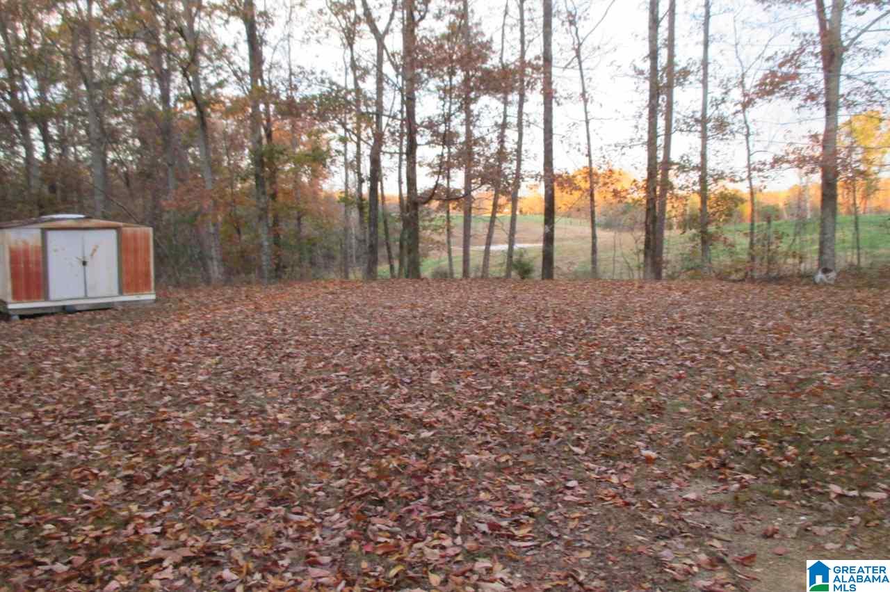 1055 Sullivan Lane Springville, AL 35146 - Photo 13 of 13