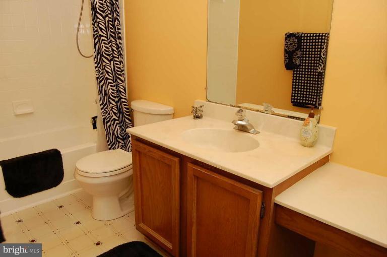 15215 Philip Lee Road Chantilly, VA 20151 - Photo 22 of 26 Bath (Master)