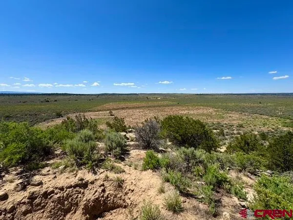a view of an ocean and beach