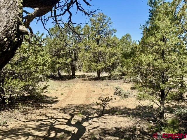 163 Cr 402 Road Lindrith, NM 87029 - Photo 15 of 16 a view of a yard with wooden fence