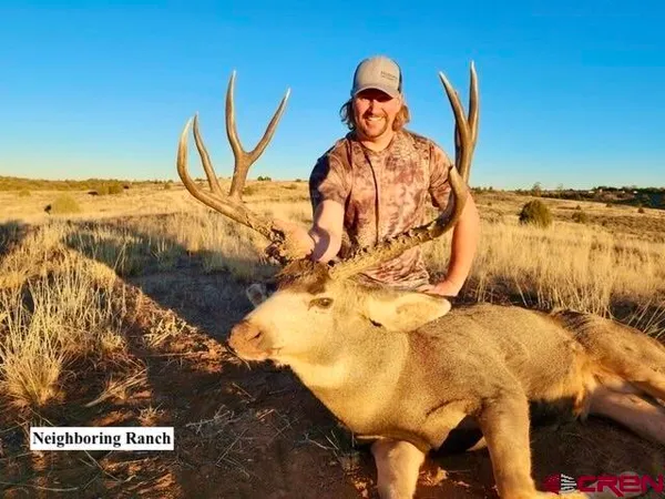 $180,000 | 163 Cr 402 Road, Lindrith, NM 87029