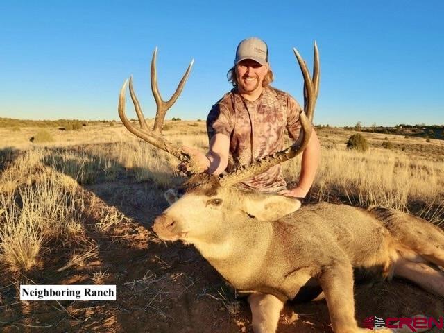 163 Cr 402 Road Lindrith, NM 87029 - Photo 16 of 16