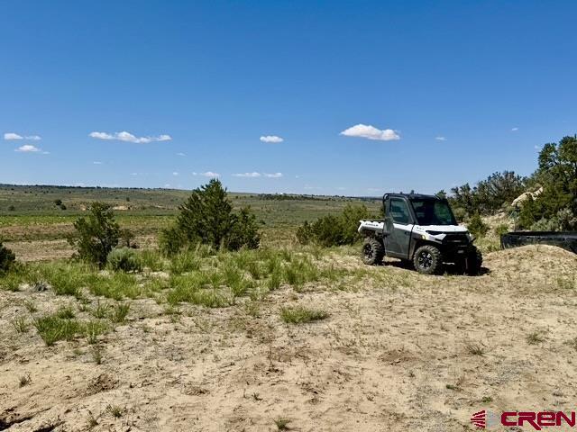 163 Cr 402 Road Lindrith, NM 87029 - Photo 6 of 16 a view of a terrace with a garden