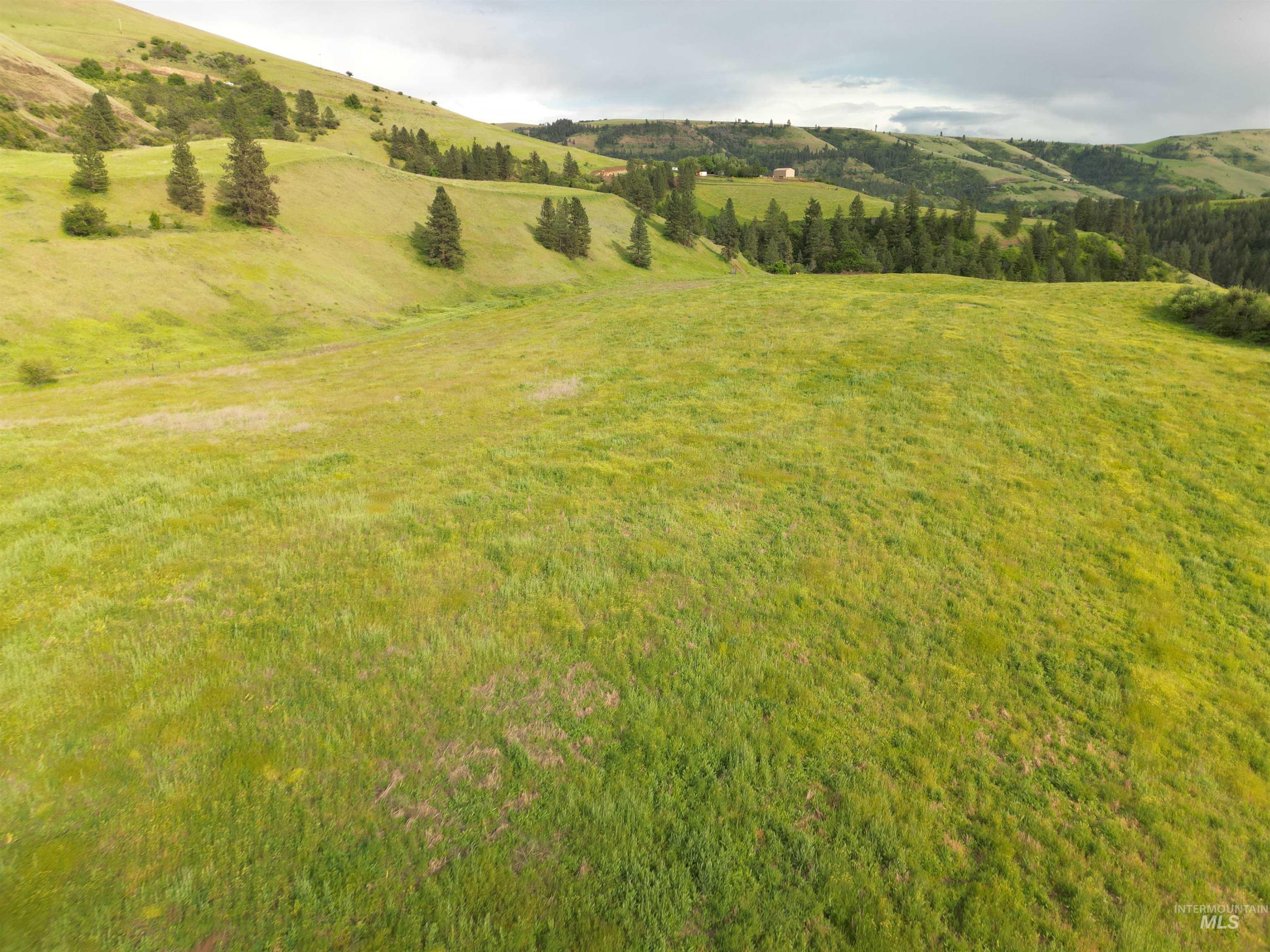 0 American Ridge Road Kendrick, ID 83537 - Photo 18 of 25