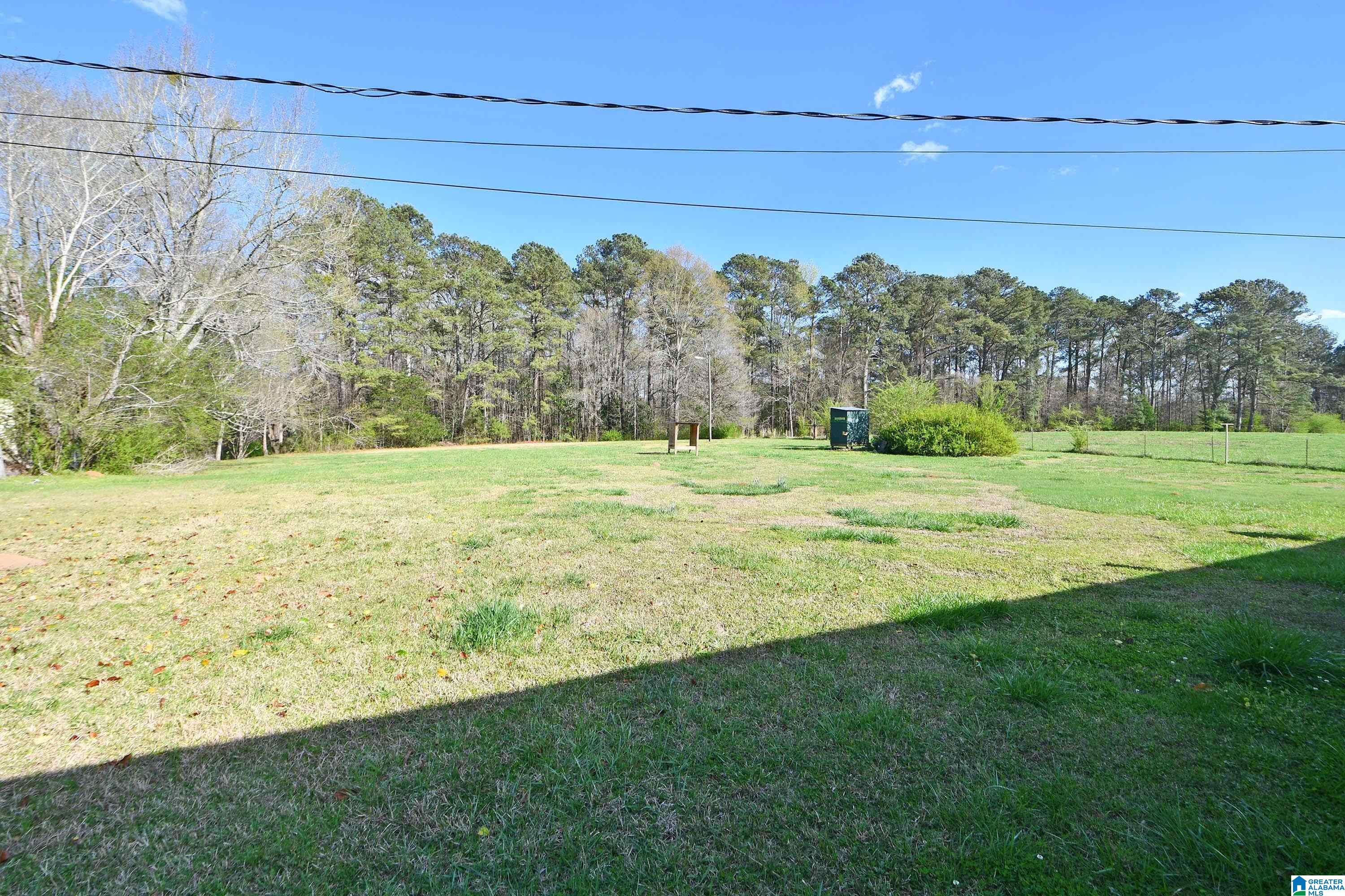 1409 Doublehead Road Roanoke, AL 36274 - Photo 23 of 27