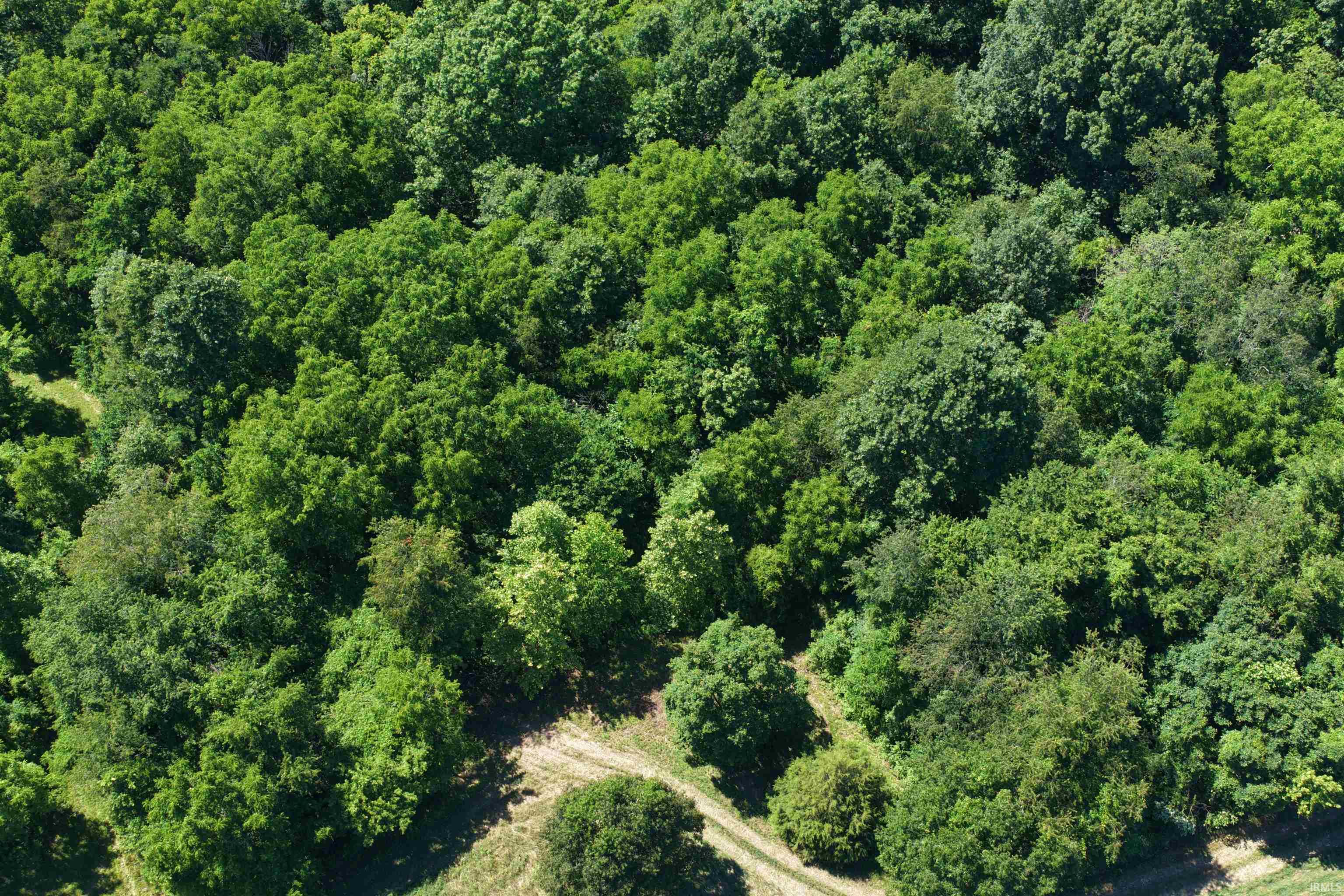 Tbd Bud Ikerd Road Bedford, IN 47421 - Photo 17 of 25 Gallery Image 17