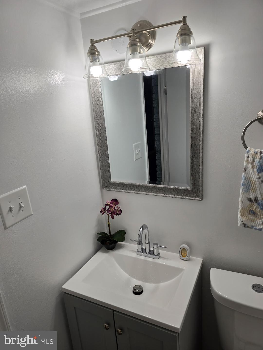 8512 Imperial Drive, Unit 1H Laurel, MD 20708 - Photo 12 of 14 a bathroom with a sink a toilet and mirror