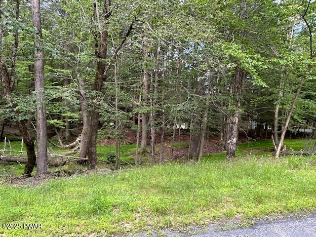32 Tomahawk Road Lake Ariel, PA 18436 - Photo 6 of 12