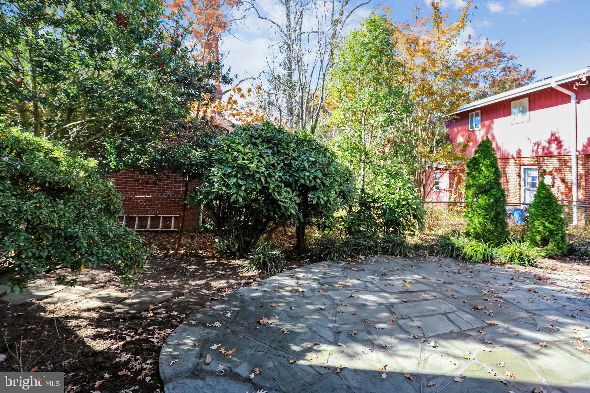 11309 College View Drive Silver Spring, MD 20902 - Photo 7 of 34 Landscaped backyard