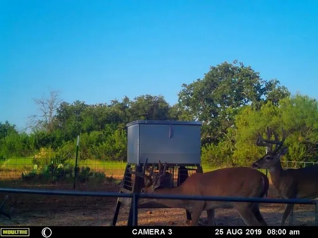 a view of house with outdoor space and seating