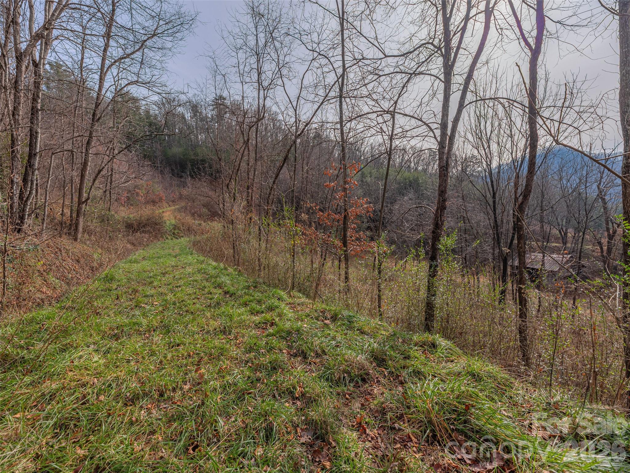 Lot 31 Hooper Cemetery Road Cullowhee, NC 28723 - Photo 10 of 25