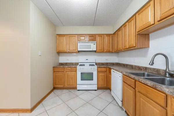 $290,000 | 6559 West George Street, Unit 309, Chicago, IL 60634