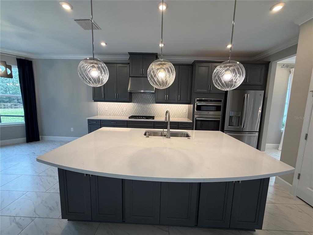 33314 Castaway Loop Wesley Chapel, FL 33543 - Photo 11 of 39