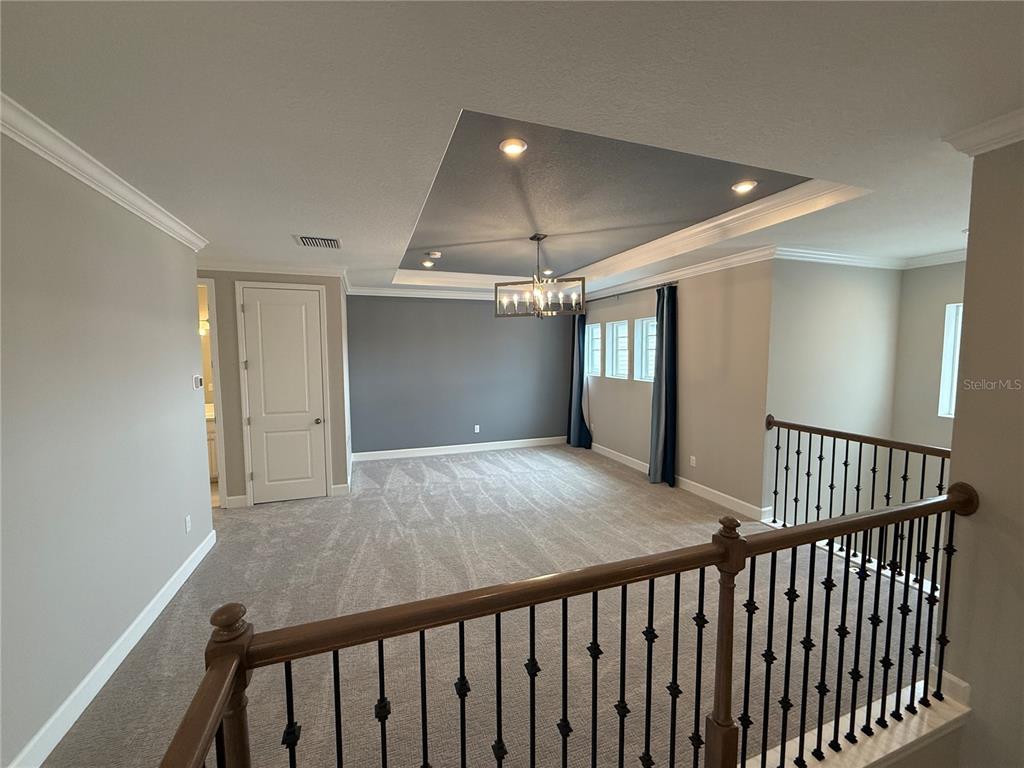 33314 Castaway Loop Wesley Chapel, FL 33543 - Photo 19 of 39