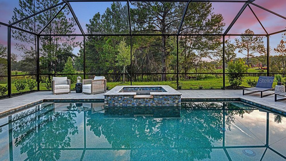 33314 Castaway Loop Wesley Chapel, FL 33543 - Photo 4 of 39