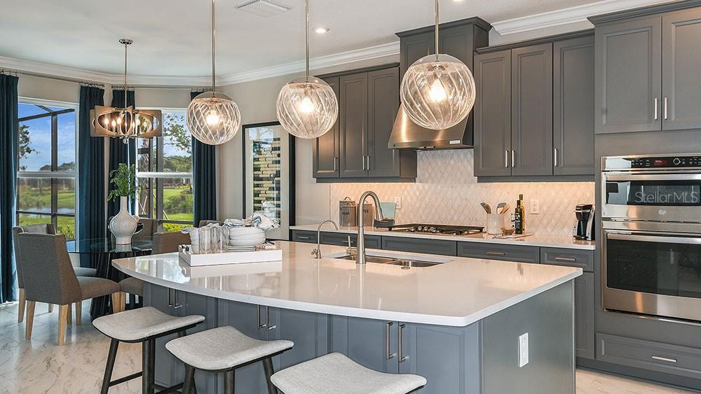 33314 Castaway Loop Wesley Chapel, FL 33543 - Photo 9 of 39