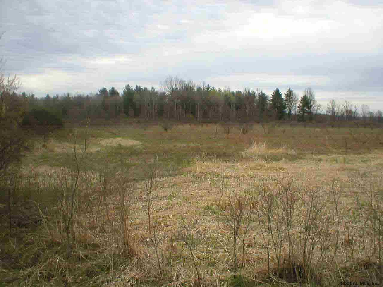 Towne Line Road Fort Edward, NY 12828 - Photo 1 of 1 Photo 1