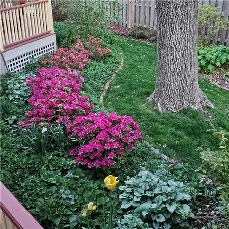 $464,950 | 401 South Harrison Street, Olathe, KS 66061