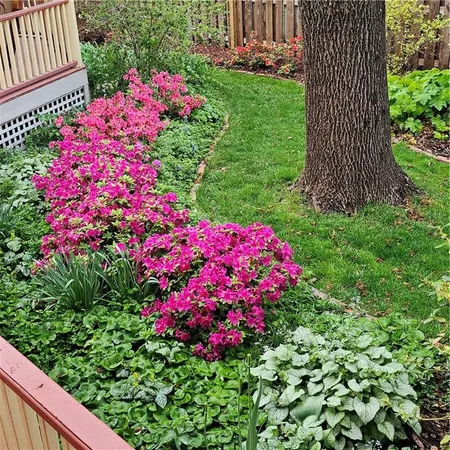 $464,950 | 401 South Harrison Street, Olathe, KS 66061