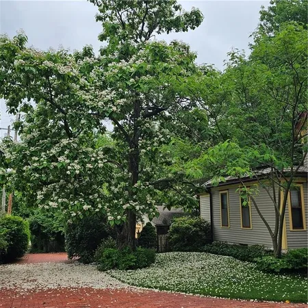 $464,950 | 401 South Harrison Street, Olathe, KS 66061