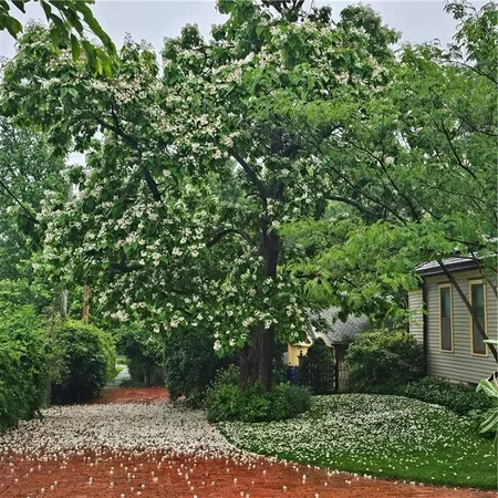 $464,950 | 401 South Harrison Street, Olathe, KS 66061