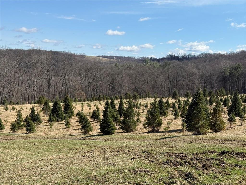 0 Prospect Road Evans City, PA 16033 - Photo 4 of 26 Gallery Image 4